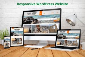 Portfolio for Professional WordPress website Developer